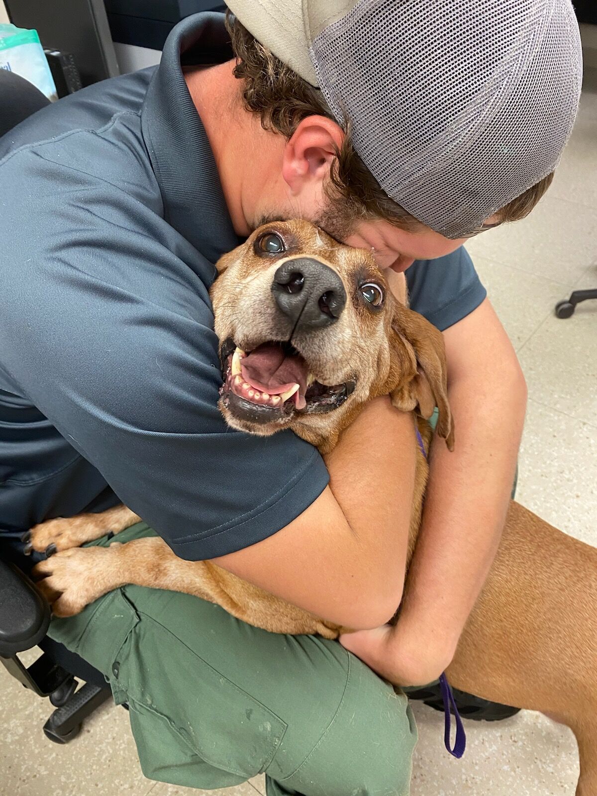 Roscoe1.jpg
